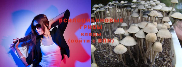 тгк Верея