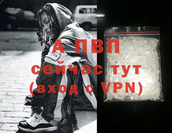 тгк Верея