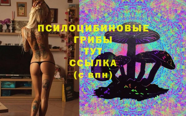 тгк Верея