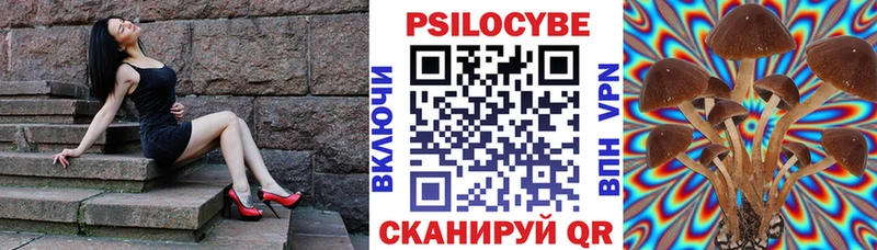 продажа наркотиков  Славянск-на-Кубани  кракен вход  Галлюциногенные грибы Magic Shrooms 
